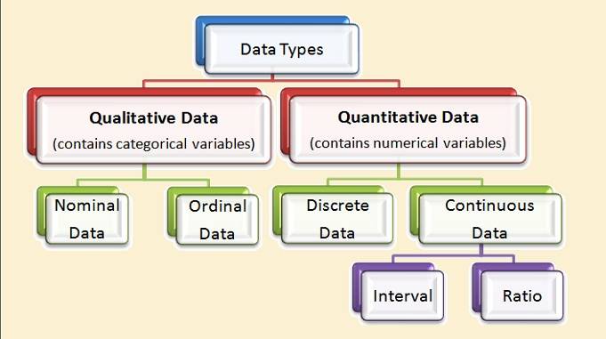qualitative and quantitative types of data