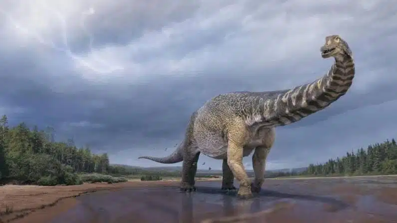 dinosaur and human timeline, how old is human civilization, manav sabhyata ka itihas, dinosaurs facts in hindi, क्या डायनासोर के समय इंसान भी थे, मानव सभ्यता कितनी पुरानी है, डायनासोर का इतिहास