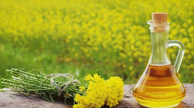 सरसों का तेल, sarso mustard oil benefits, sarso tel ke fayde