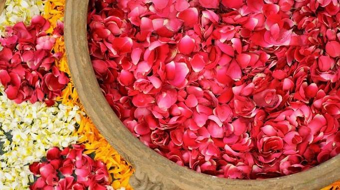 rose petals- rose uses and benefits in hindi