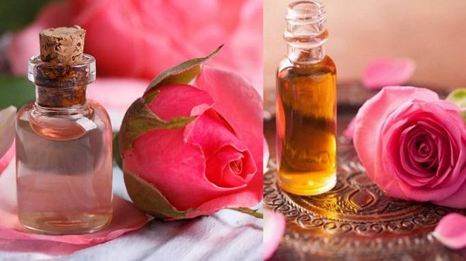 rose water oil
