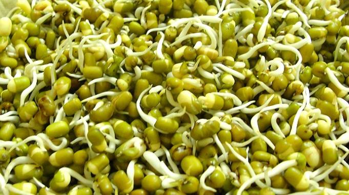 अंकुरित मूंग, sprouts benefits in hindi, Sprouts salad for weight loss, sprouts dal, Moong dal sprouts benefits, ankurit anaj dal, स्प्राउट्स बनाने की विधि, स्प्राउट्स खाने के फायदे, अंकुरित दाल सलाद, अंकुरित अनाज
