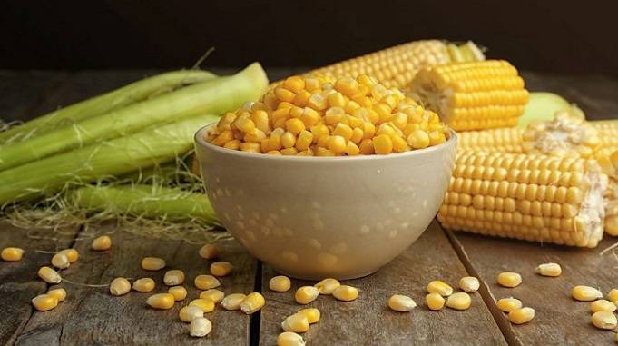 maize corn health benefits, boiled corn benefits, corn benefits and side effects, corn nutritional value, corn uses for health, मक्का के फायदे और नुकसान