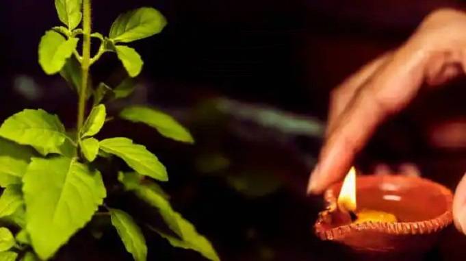 tulsi puja, How to Remove Negative Energy from Home in Hindi