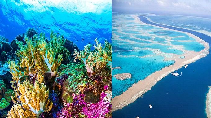 Great Barrier Reef