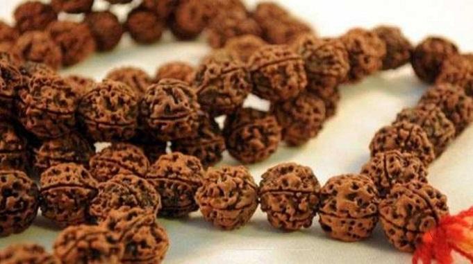 rudraksha