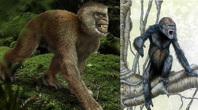 theory of natural selection and evolution, charles darwin theory, monkey to human evolution, humans evolved from monkeys