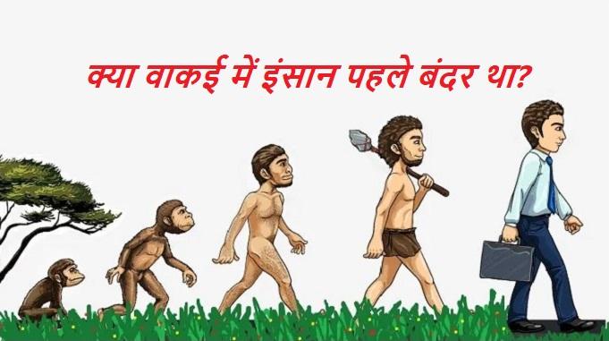 theory of natural selection and evolution, charles darwin theory, monkey to human evolution, humans evolved from monkeys