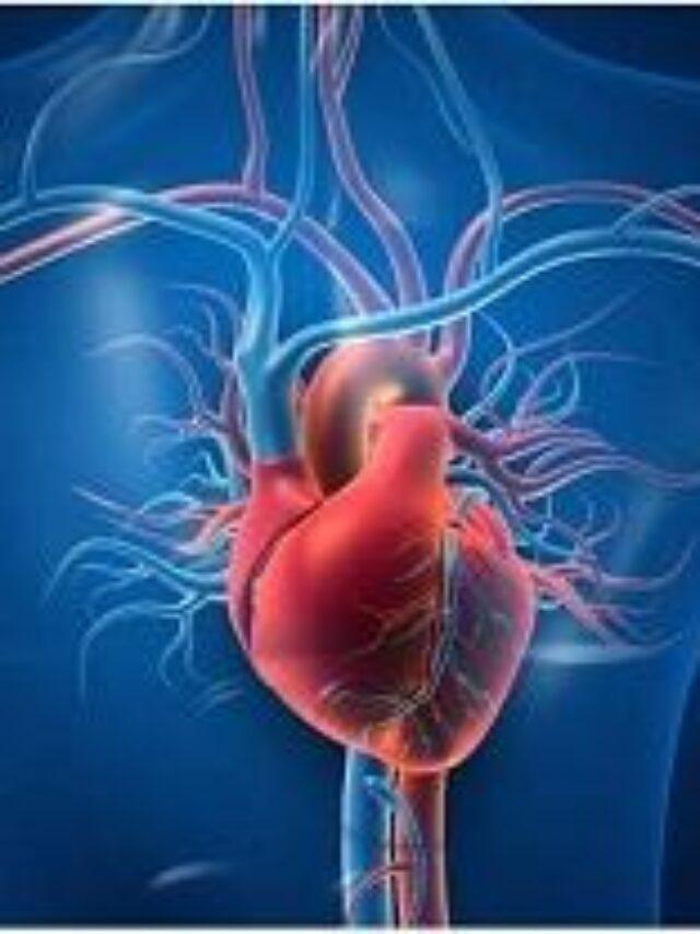 Important facts about the Heart, Heart attack and diseases