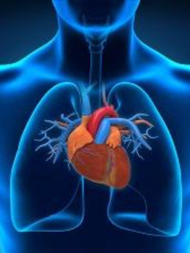 Heart : हमारे हृदय और दिल की धड़कन से संबंधित रोचक तथ्य