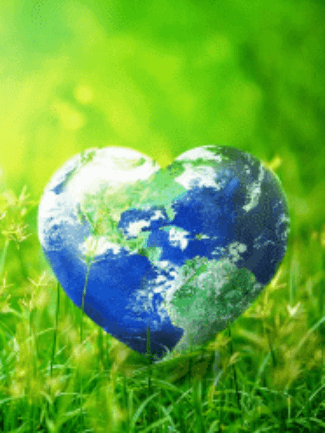 world environment day 2022 theme