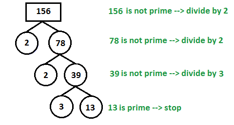 factor tree of 156