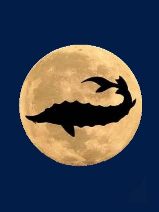 Why is August Full Moon called the Sturgeon Moon?