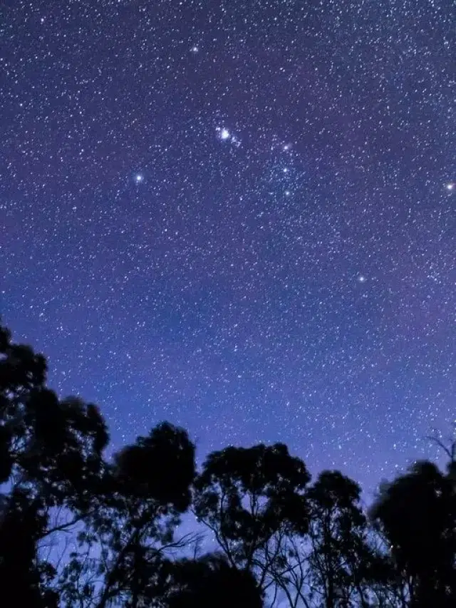 Stars are rapidly disappearing from the night sky. Why is this. An alarming report says, Stars are more rapidly disappearing than thought from the night sky due to light pollution and sky glow