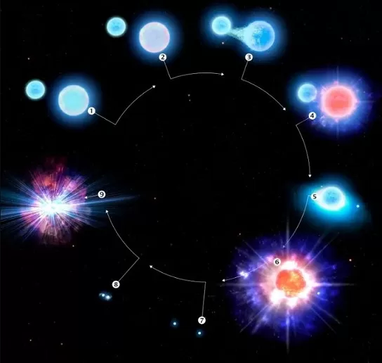 The End of a Supernova - A Rare Twin Star System with an Oddly Circular Orbit discovered