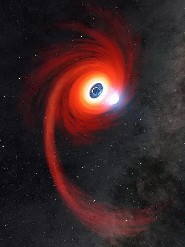 Unusually Close Glimpse of Black Hole Snacking on Star is captured by NASA