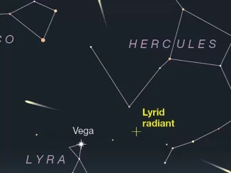 Lyrids Meteor Shower 2023, Fast and Bright Meteors, important facts, peak, radiant, comet