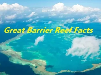 great barrier reef australia, world largest coral reef system, munga ratna, ग्रेट बैरियर रीफ, दुनिया की सबसे बड़ी मूंगे की चट्टान, प्राकृतिक दुनिया के सात आश्चर्य, ऑस्ट्रेलिया क्वींसलैंड
