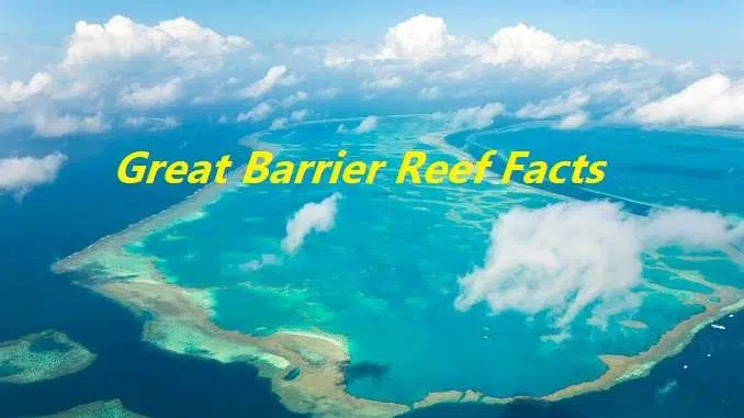 great barrier reef australia, world largest coral reef system, munga ratna, ग्रेट बैरियर रीफ, दुनिया की सबसे बड़ी मूंगे की चट्टान, प्राकृतिक दुनिया के सात आश्चर्य, ऑस्ट्रेलिया क्वींसलैंड