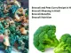 Broccoli and Peas Curry Recipe in Hindi, Broccoli Meaning in Hindi, Broccoli Benefits nutrition