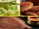 Palak Khaman Dhokla, Vegetable Cutlet, Ragi Dosa Recipe